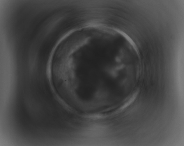 X0000100920957200807081148