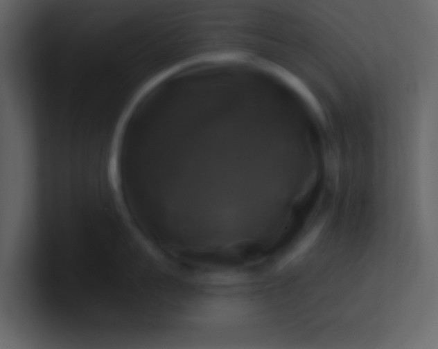 X0000100920959200807081148