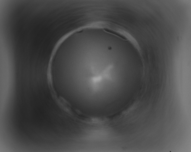 X0000100920960200807081148