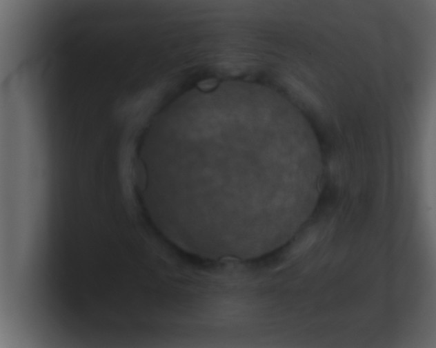 X0000100920961200807081147