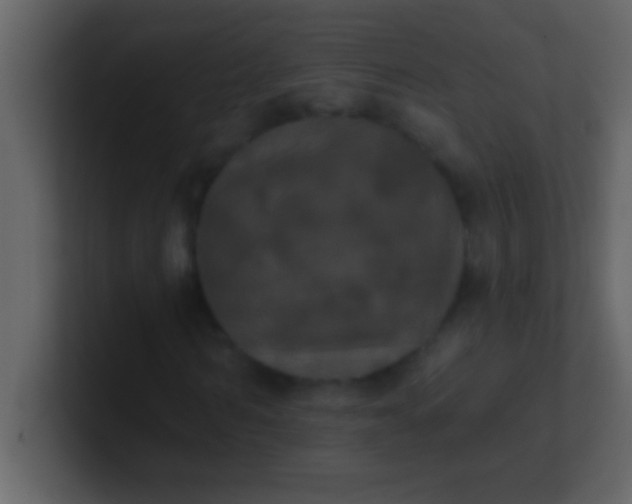 X0000100920962200807081147