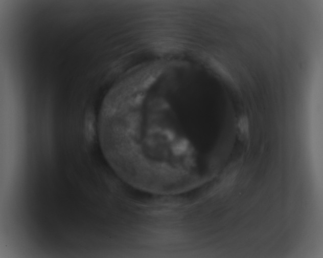 X0000100920963200807081147