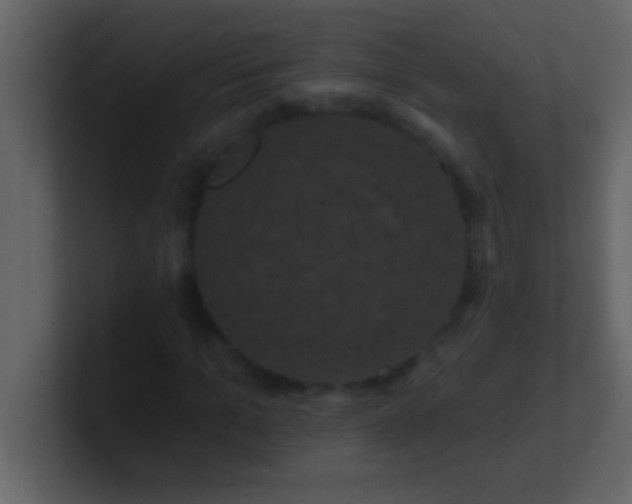 X0000100920965200807081147