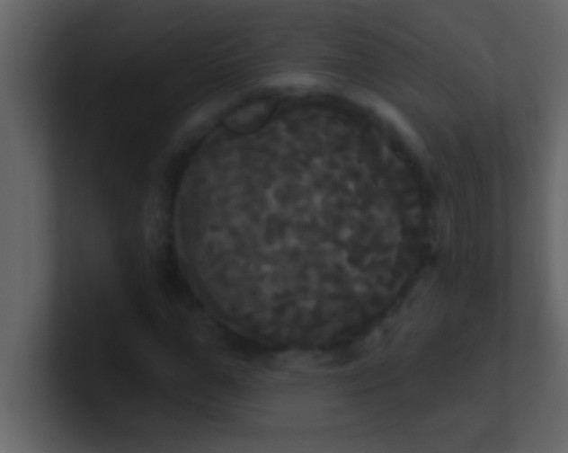 X0000100920967200807081147