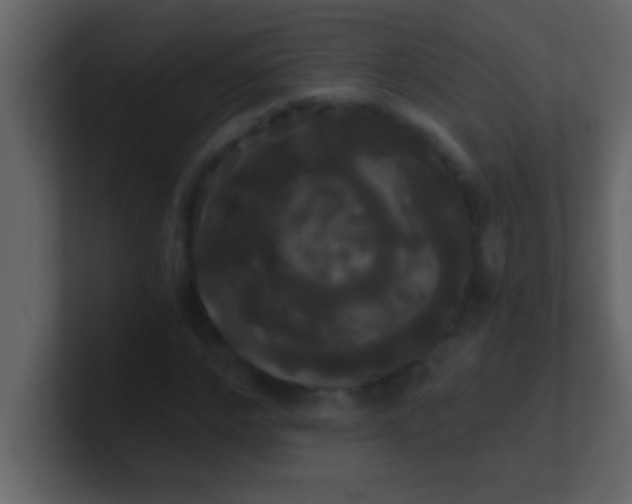 X0000100920968200807081147