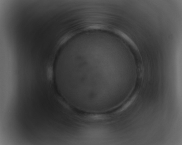 X0000100920969200807081147