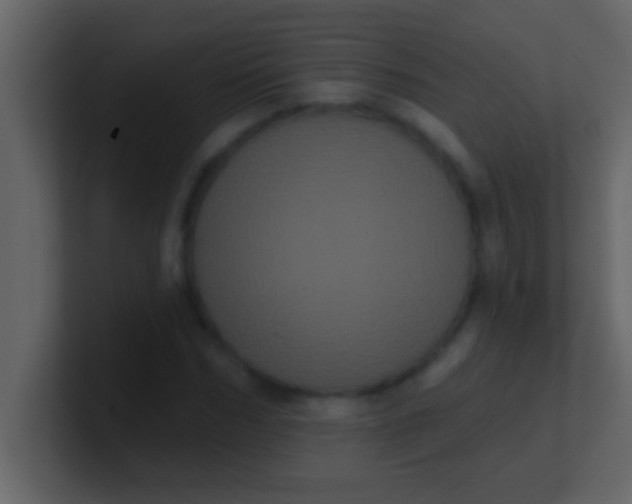 X0000100920970200807081147