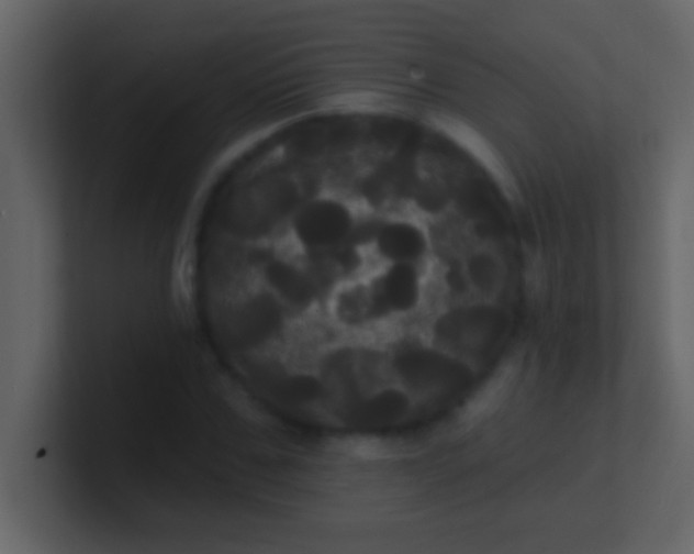 X0000100920971200807081147