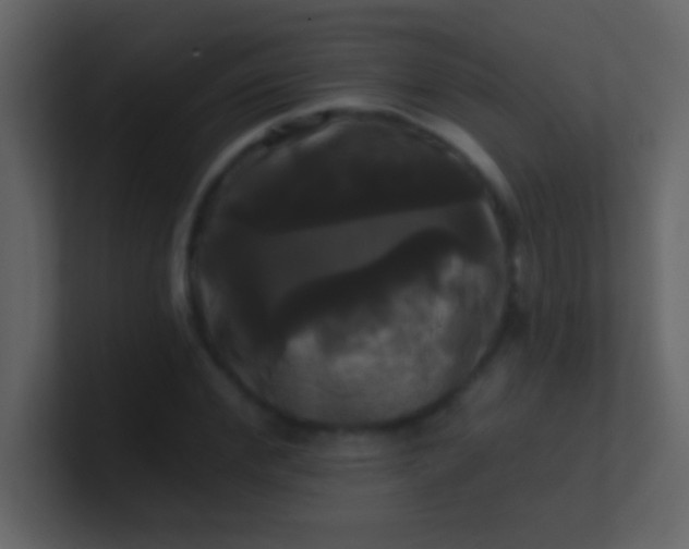 X0000100920972200807081147