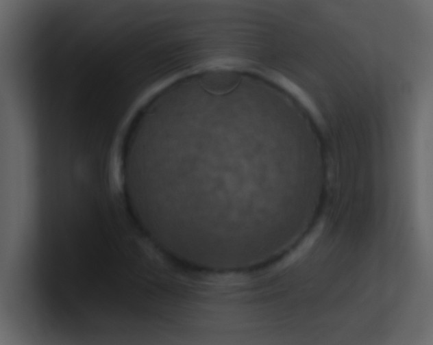 X0000100920973200807081147