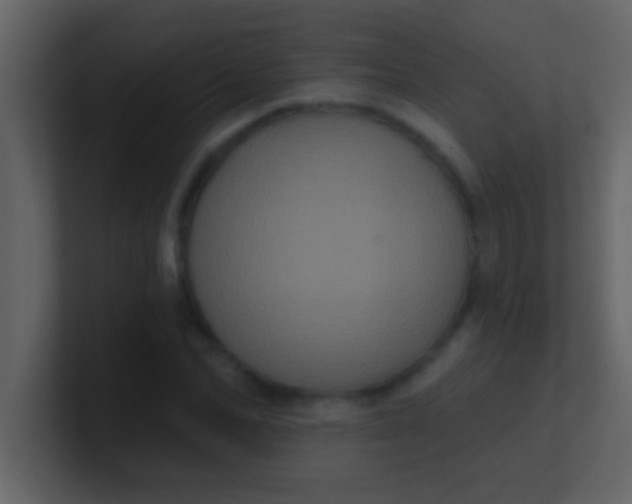 X0000100920974200807081147