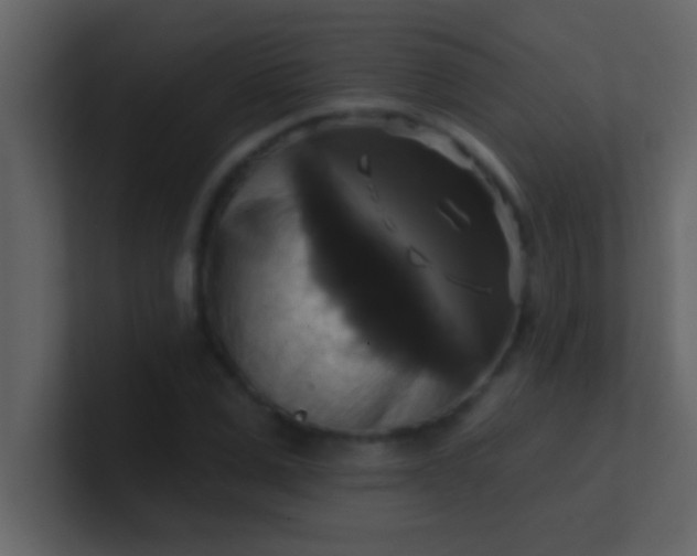 X0000100920975200807081147