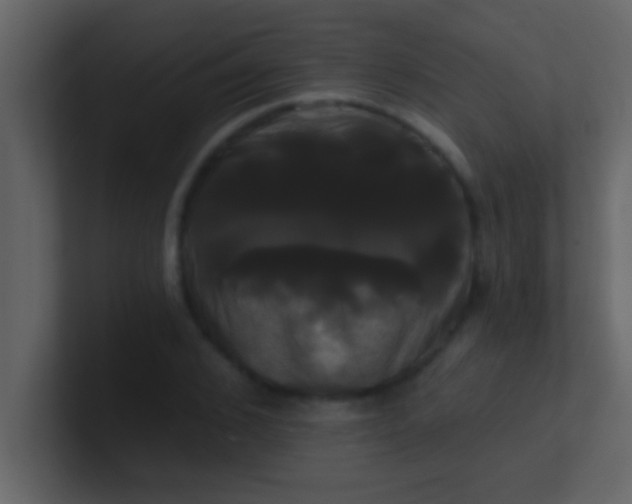 X0000100920976200807081147