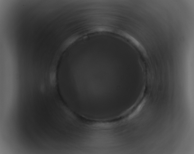 X0000100920977200807081147