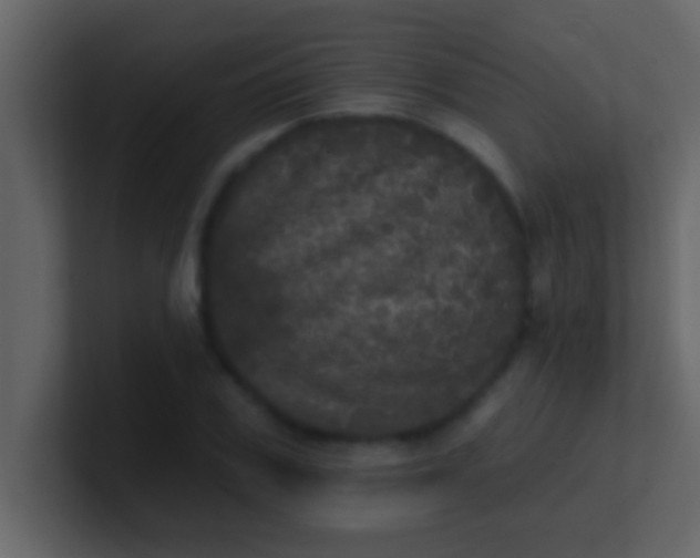 X0000100920979200807081147