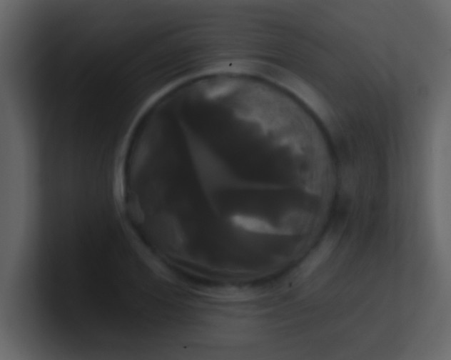 X0000100920980200807081147