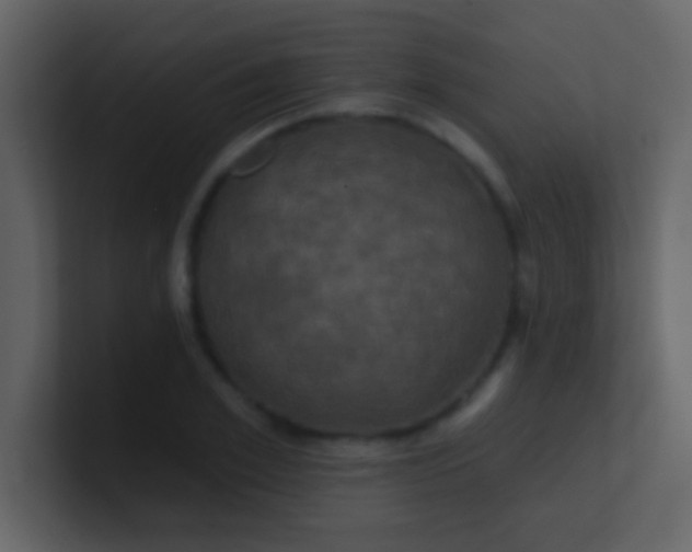 X0000100920981200807081147