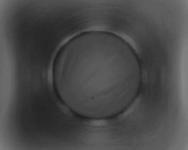 X0000100920982200807081147