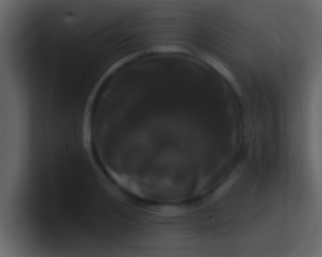 X0000100920984200807081147