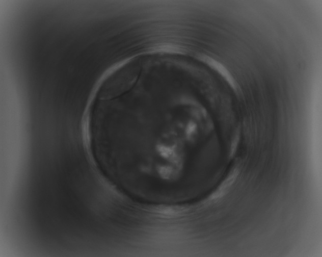 X0000100920987200807081147