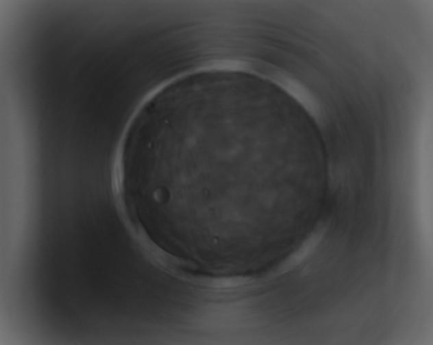 X0000100920988200807081147