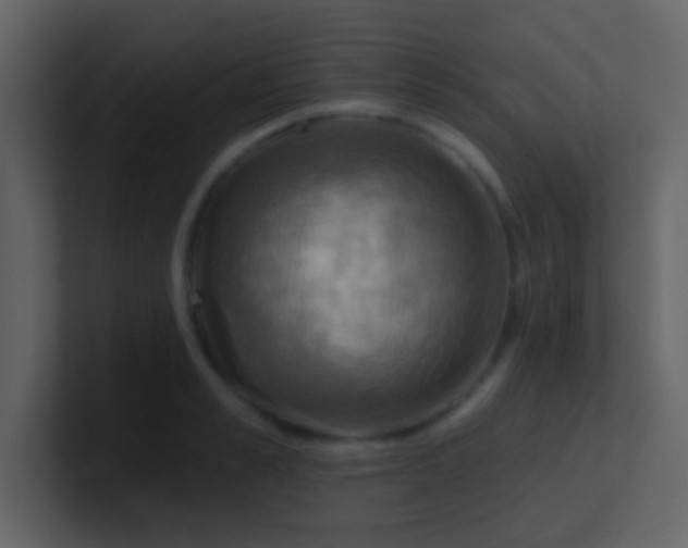 X0000100920989200807081147