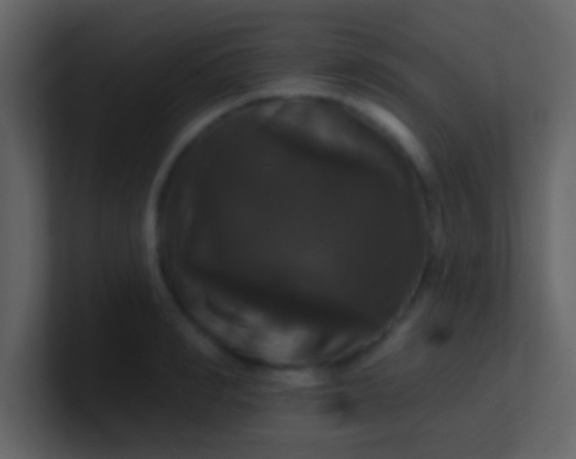 X0000100920990200807081147