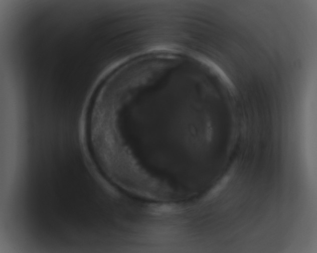 X0000100920991200807081147