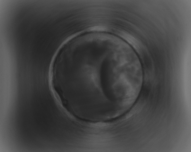 X0000100920992200807081147