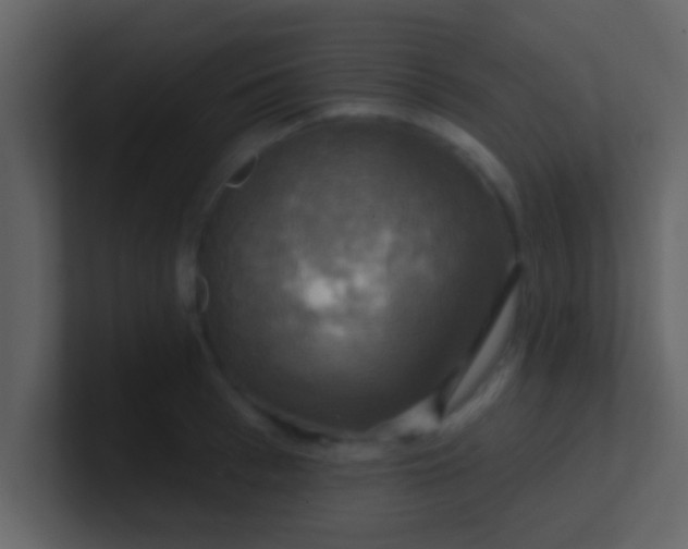 X0000100920993200807081147