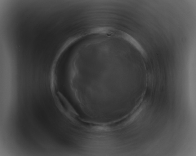 X0000100920994200807081147