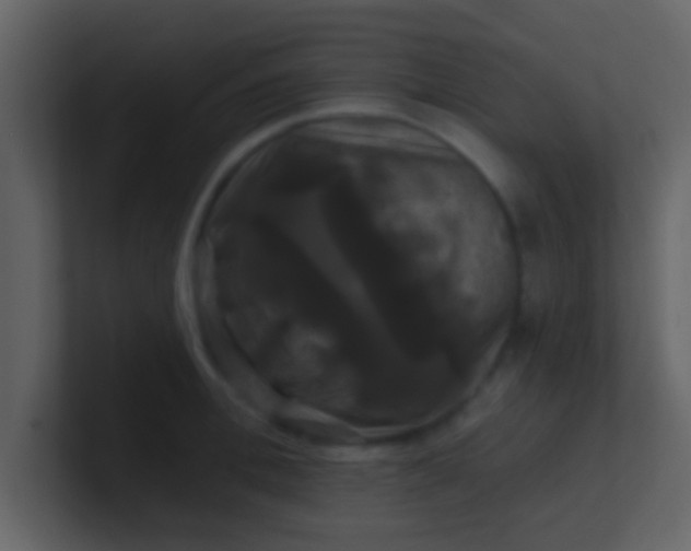 X0000100920996200807081147