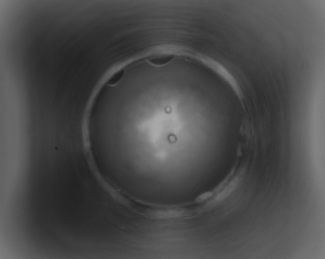 X0000100920997200807081147