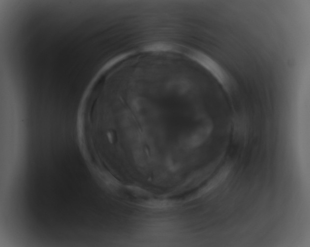 X0000100921000200807081147