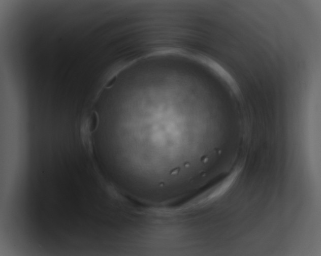 X0000100921001200807081147