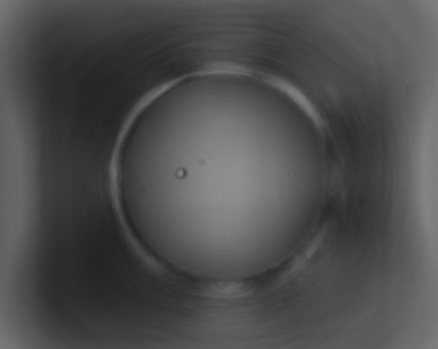 X0000100921003200807081147