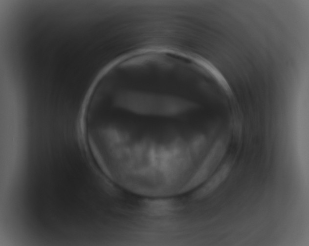 X0000100921004200807081147