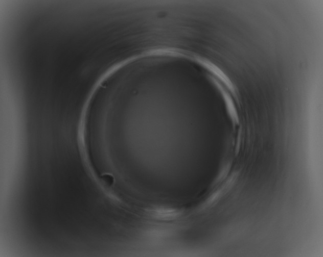 X0000100921007200807081147