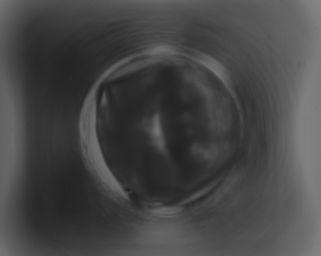 X0000100921008200807081147