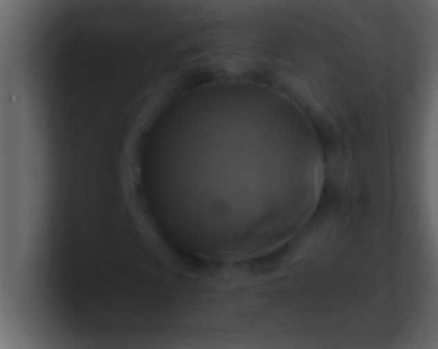 X0000100921009200807081146