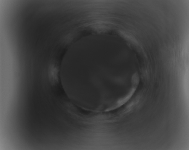 X0000100921010200807081146