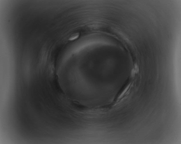 X0000100921011200807081146