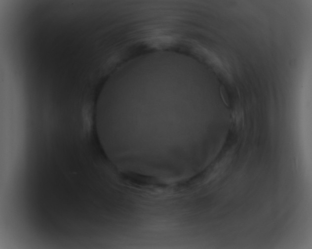 X0000100921012200807081146