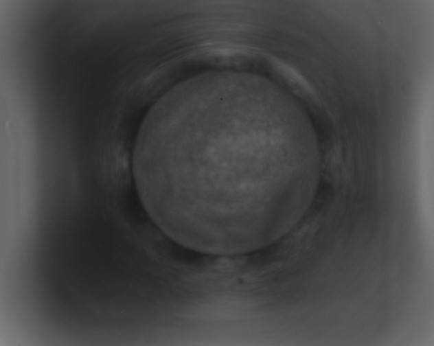 X0000100921013200807081146