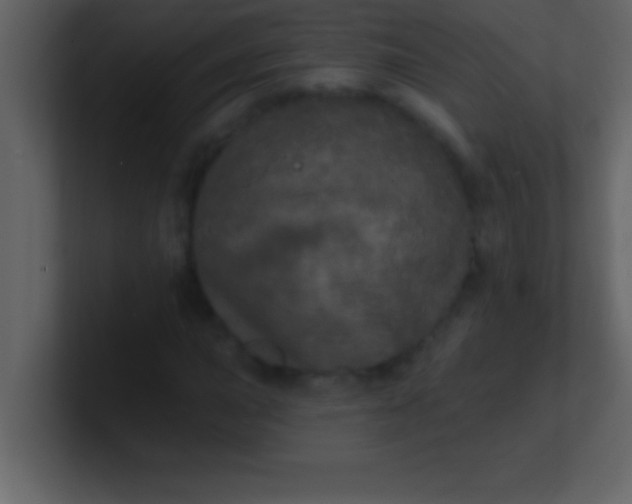 X0000100921015200807081146