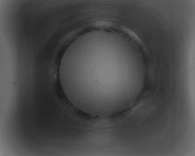 X0000100921016200807081146