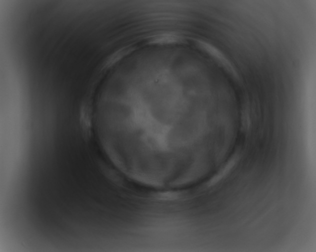 X0000100921017200807081146