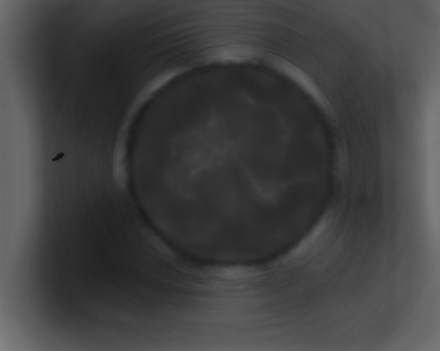 X0000100921018200807081146