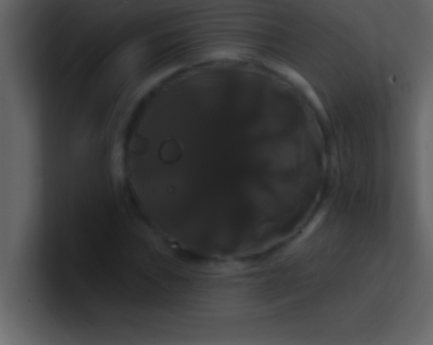 X0000100921019200807081146