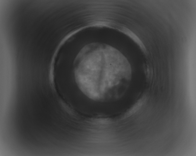 X0000100921020200807081146